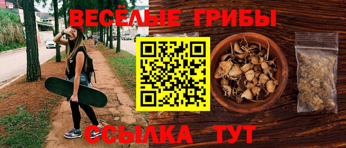 Галлюциногенные грибы Psilocybine cubensis  Вход с VPN  Елец 