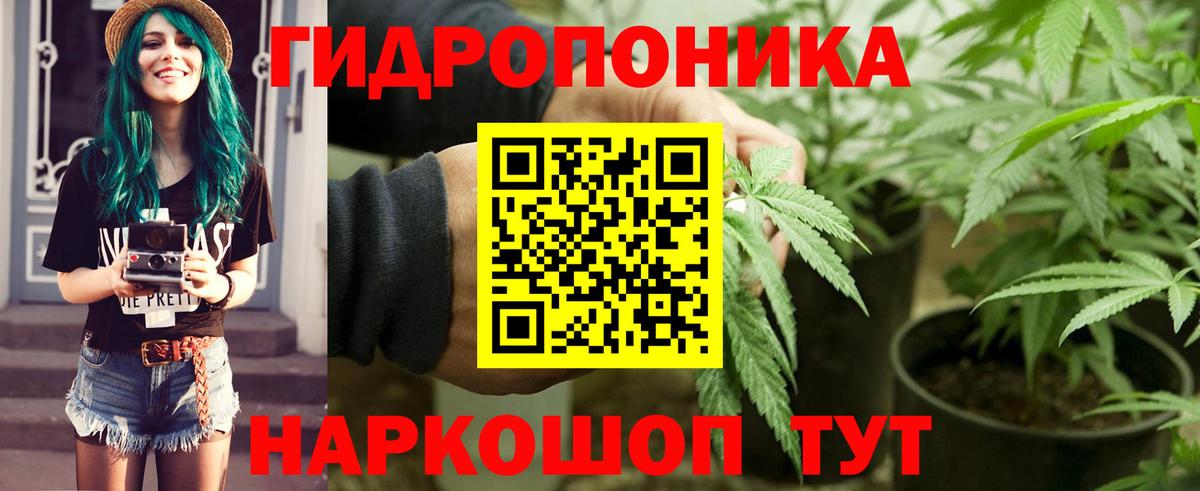 Канабис Amnesia Елец